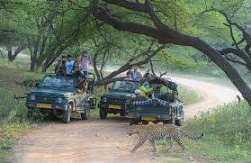 04 Days Ranthambhore Udaipur Package Tour